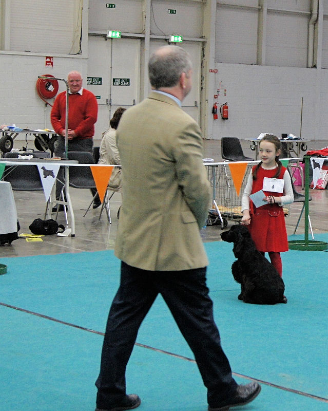 CSCOI2011 302.JPG - Best Junior Handling < 10 yrs and Best Junior Handler in show:  Miss. April Curran with HILLVIEW BRAVE BUGSY.